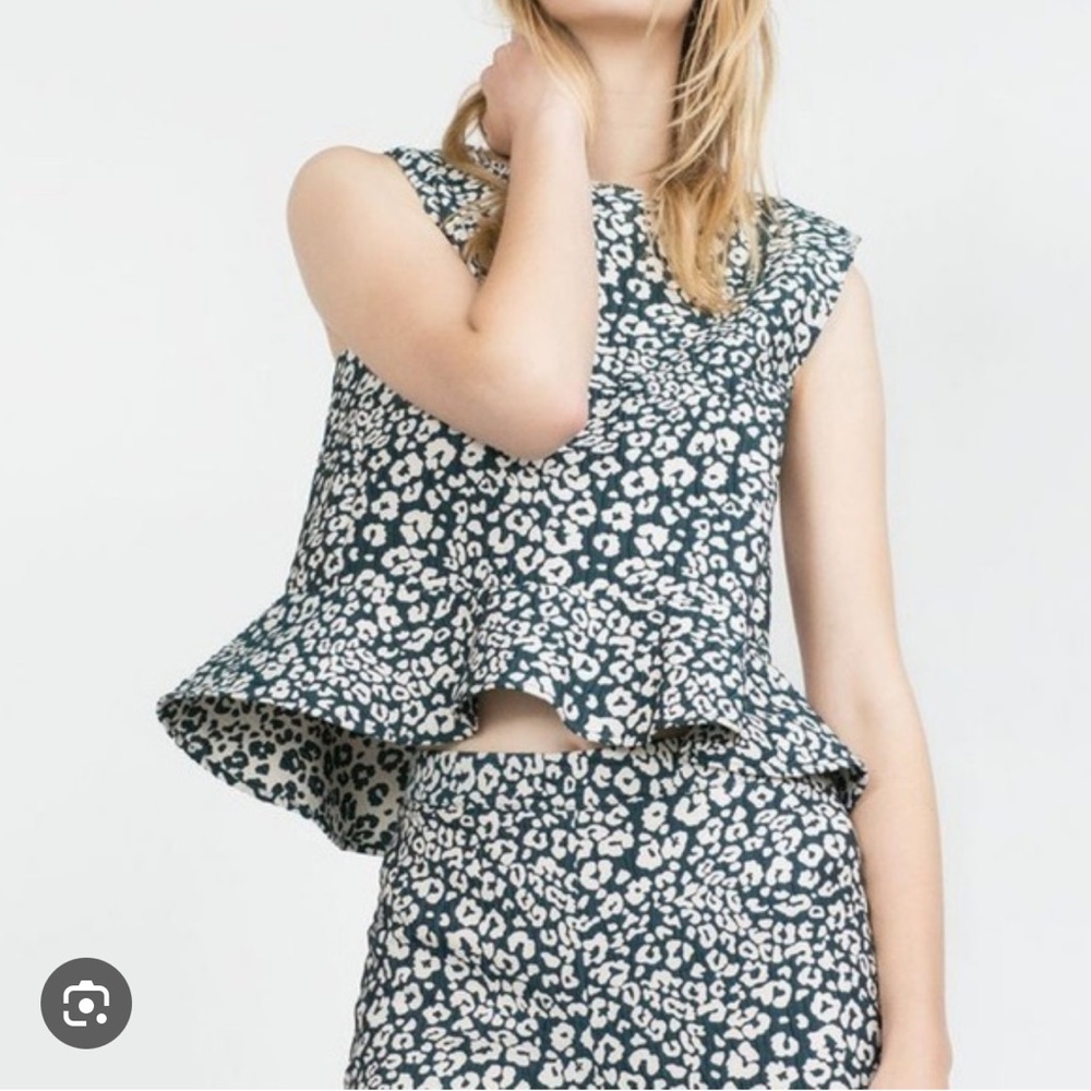 Zara Leopard Print Top